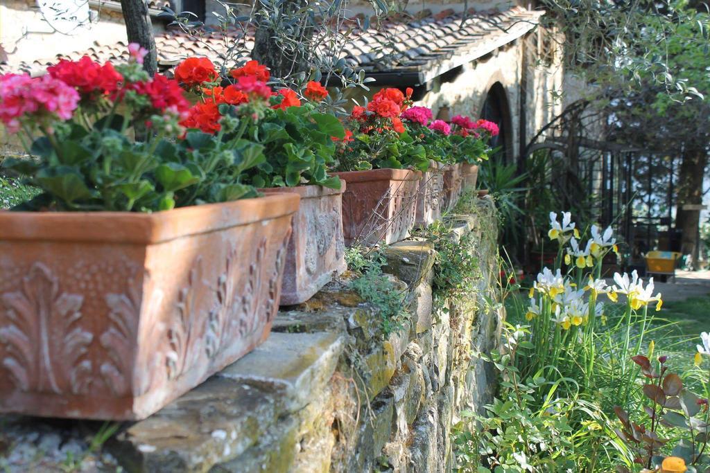 Casa Mezzuola Agriturismo Villa Greve in Chianti Exterior photo